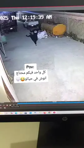 انوش دنيا ياخ😂🤍 #viral  #fyp  #makemefamous  #sudanese_tiktok  #sudani  @ansh Yang flaay. 