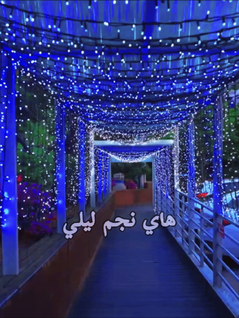 جزء30| هايم نجم ليلي وانا عيوني سهرانه #تصميم_فيديوهات🎶🎤🎬 #fyp #اجدابيا #عبارات #fypシ 