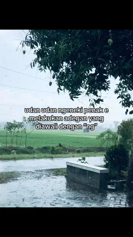 ngopi misale🥶