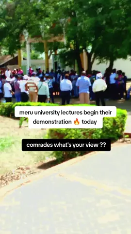 meru university lectures begin their demonstration today #meruuniversitytiktokers #merutiktokers #merucomradesdiarry #campusvibes #campuslife 