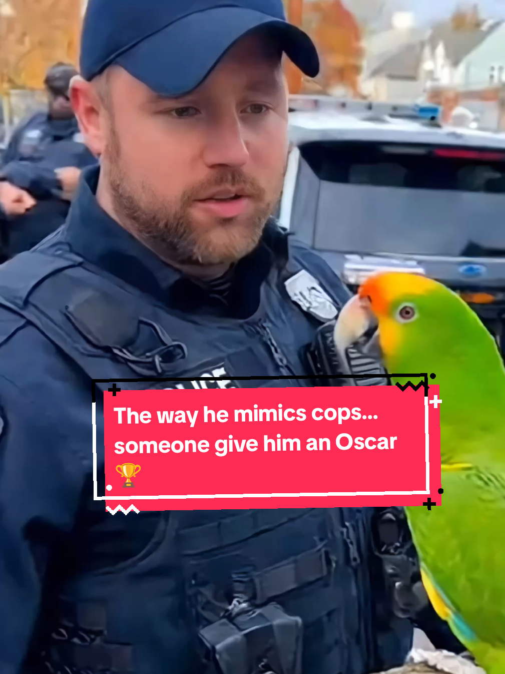 The way he mimics cops… someone give him an Oscar 🏆🦜 #talkingparrot #funnyparrot #comedian 