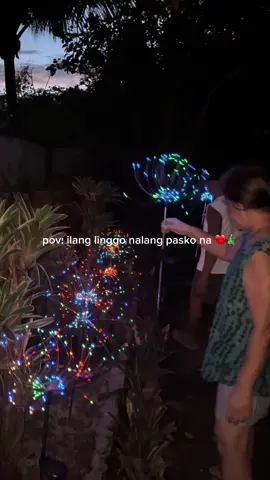 fave sznnnn <3 #fy #fyp #merrychristmas #christmas2025 #foryou #solarchristmaslights #christmaslights #fireworkschristmaslight 