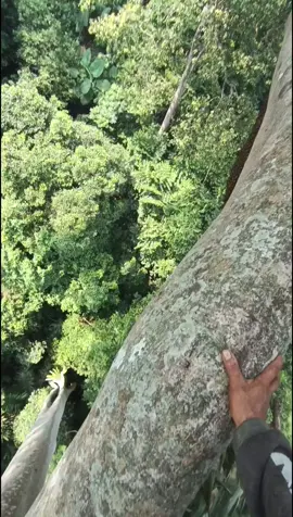 #vidiofyp