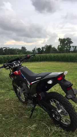 #crf150l #ceerep #standardnjengking 