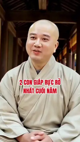 Có 2 con giáp rực rỡ thấy rõ trong những tháng cuối năm này. #tuvi12congiap #tuoihoi #tuoituat #tuvisomenh 