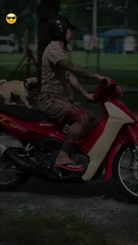 Nhạc quá chắy..#xuhuong #utrom61bd #cauut61bd 