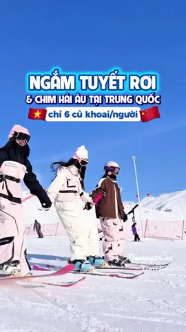Chi tiết Trip ngắm tuyết, ngắm hải âu tại Côn Minh - Trung Quốc 🇨🇳 4 ngày 3 đêm dành cho hội lương 5 triệu, lưu lại video nha #trungquoc #dulichtrungquoc #nuituyetkieutu #tourtrungquoc #hellochina 