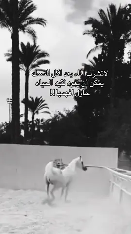 #خيل_وخياله🐎 #viral #fyp #اكسبلورexplore #اقتباسات 