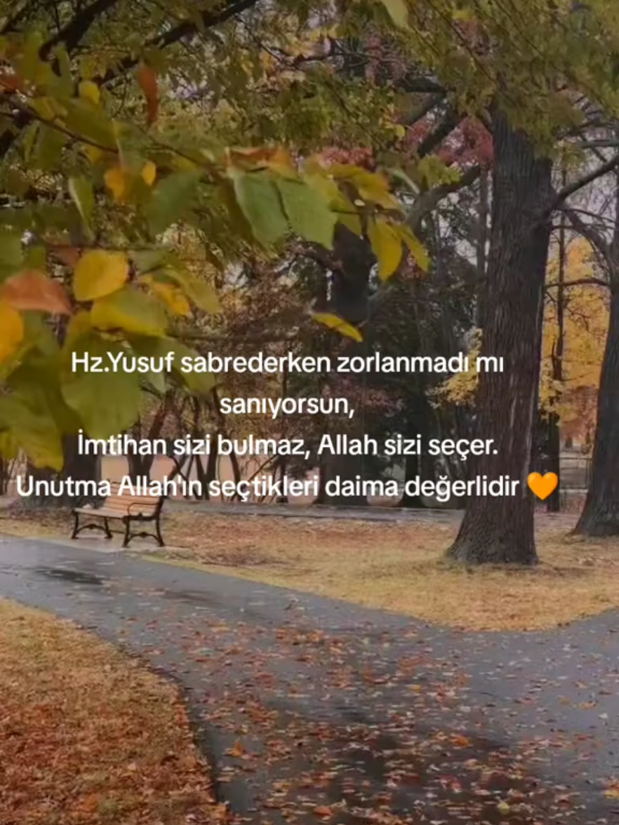 Elhamdülillah 🧡  #fypppppp #keşfetteyizz #fypシ #keşfetbeniöneçıkar #keşfet 