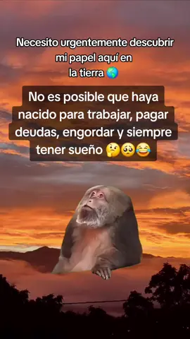 #Meme #MemeCut #CapCut #jajaja 