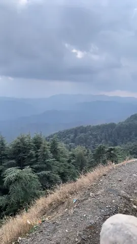 #fyp #chrea_blida09 #tiktok 