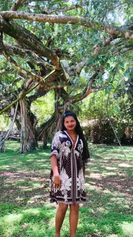 Let the clouds burst and the rain pour down, for in this rhythm, my soul finds its own dance ☘️🌧 #barsore  #fypシ #viral #trending #dance 