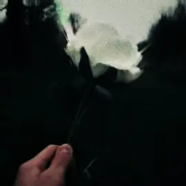 💿 exodia (slowed) #electronicmusic #angelcore 