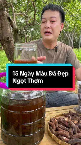 Chuối rừng tự ngâm rất ngon - 15 ngày dùng được luôn #chuốirừng #chuoihotrung #chuốihộtngâmrượu #chuôihột #chuoihotrungtaynguyen 