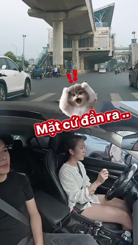 90% các bạn không hiểu nghĩa của biển này . #duclongthuchanhlaixe #banglaixeotob1b2 #họcláixeôtô #hocbanglaixehanoi #botuctaylai  