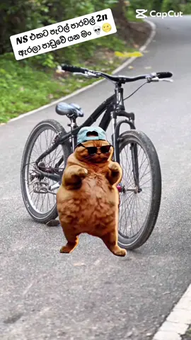 දෙකයි පදින්නේ දෙකයි 💀😂 #Maliyah‼️ #trending #MemeCut #Meme #MemeCut 