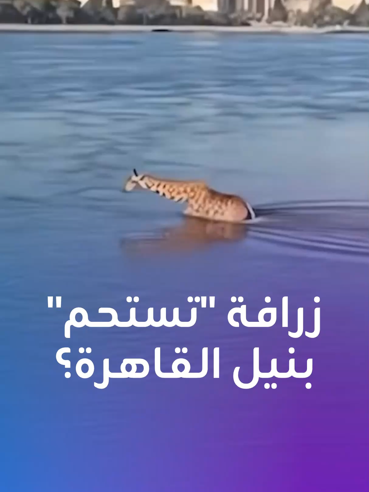 🦒 هل طفت 