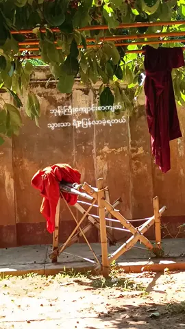 သူ့လဲ သနားပါတယ်🤣 #myanmartiktok🇲🇲🇲🇲 