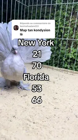 Réponse à @kevinehaaland33 