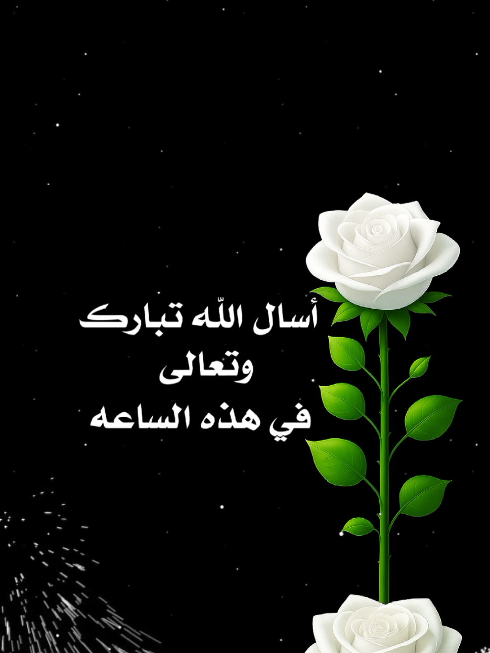 #أسال_الله_تبارك_وتعالى🤍 