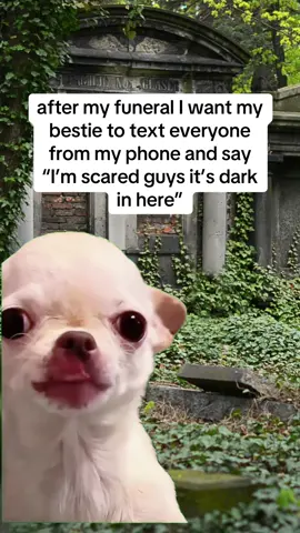 #MemeCut #MemeCut #Meme #MemeCut 