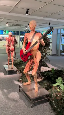 坏人们就是想把于朦胧做成像这样的人体标本。😪