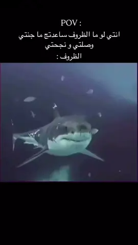 .🤫 . . .         . . . . . . . . .. . . . . . . . . . . . . . . . . . . . . . .#studytok #kem #student #بيست_فريند_للأبد👭💕 #الشعب_الصيني_ماله_حل😂😂 