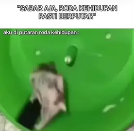 Sedang berputar dengan kehidupan #kehidupan 