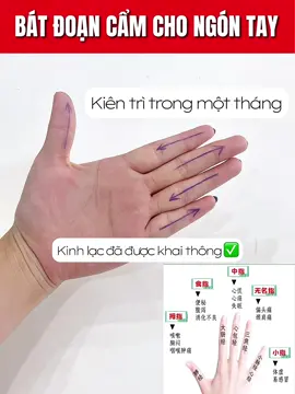 Bát đoạn cẩm cho ngón tay! #havanyoga #suckhoe #baitaptainha #trilieu 