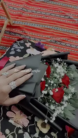 #المفرق_الباديه_الشماليه🇯🇴🇯🇴 