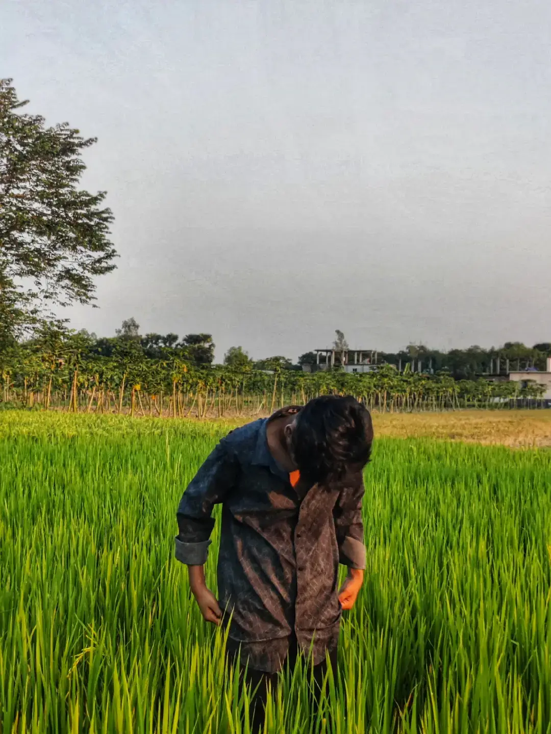 𝗕𝗹𝗮𝗰𝗸 𝗗𝗶𝗮𝗺𝗼𝗻𝗱 🌚 🐸  #fypシ゚ #foryou #foryoupage #fffffffffffyyyyyyyyyyypppppppppppp 