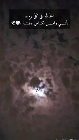 #creatorsearchinsights #تصويري_احترافي_الاجواء👌🏻🕊😴 #foryoupage #fypシ #fypシ゚viral🖤tiktok☆♡🦋myvideo 