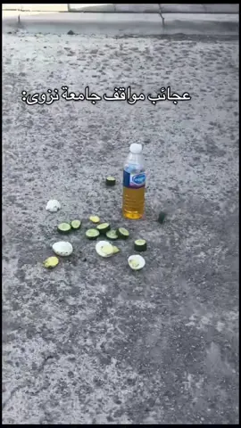 غريييييببببب مووووريييييببببببببببييييييييييببببببببببببببببب🤯🤯🤯.                                              #جامعة#جامعة_نزوى🇴🇲#جامعة_نزوى #اكسبلورexplore #الشعب_الصيني_ماله_حل😂😂 