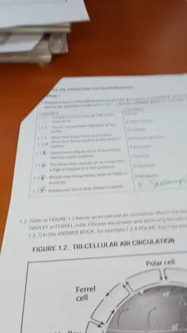 Grade 11 Revision  Topic :The Atmosphere  Tri cellular Air circulation (Hadley, Ferrell and Polar cells) Global air circulation  Coriolis force  Pressure gradient  Monsoons  Geostrophic flow #grade11#grade11atmosphere #grade11 revision #teachersoftiktok #tiktoknotes 