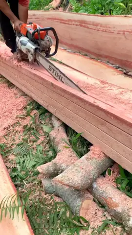 tree cutting skills  #chainsawskills #treecut #sawmill #woodprocessing #makinglumber 