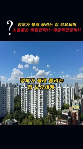정부가 몰래올리는 집보유세의 비밀전략!!