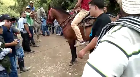 #pasionporlamusicayloscaballos🐴 #caballosvaqueros #amorypasion 