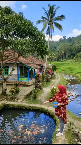#keindahandesaku  ngasih makan ikan dulu 