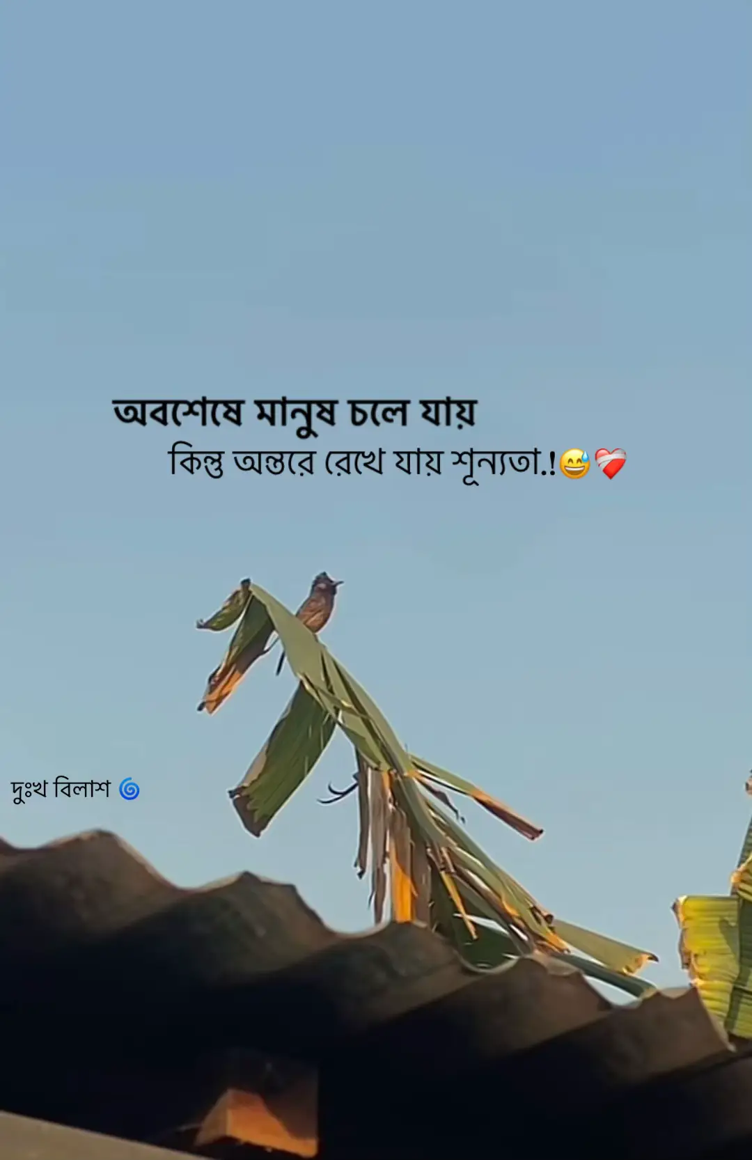 অবশেষে মানুষ চলে যায় কিন্তু অন্তরে রেখে যায় শূন্যতা 😅❤️‍🩹@TikTok Bangladesh @For You #bahmonbaria_chele🥷 #bahmonbaria_chele🥷 #bangladesh🇧🇩 