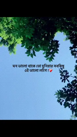 মন ভালো থাকে তো দুনিয়ার সবকিছু  ওই ভালো লাগে !❤️‍🩹#foryou #trending #banglacaption #popularvideo #captionvedio 