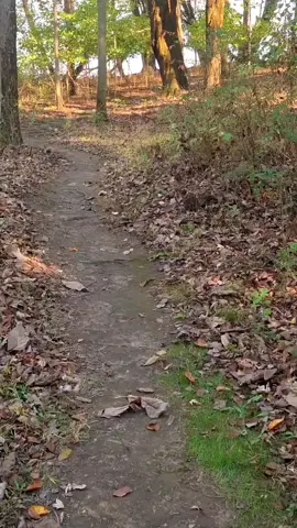 Try to enjoy life a little at a time. #genxkid #nature #octobermood #fyp 