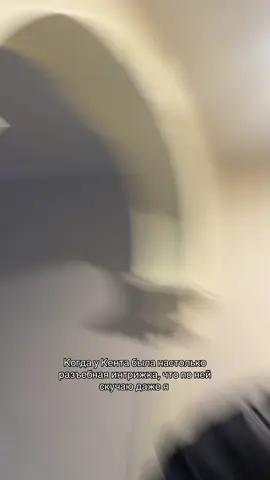 Подписку на телеграмм канал 