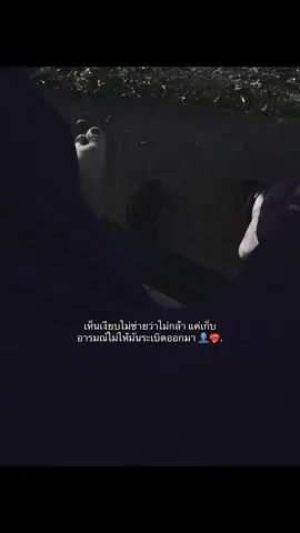#รีโพสต์ทีค้าบบ❤️‍🔥 #ฟิดดดシ 