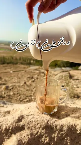 در رفتن جان از بدن گویند هر نوعی سخن #ای_ساربان_آهسته_ران_که_آرام_جانم_میرود🇦🇫 #سعدی #غمگین #دلشکسته 