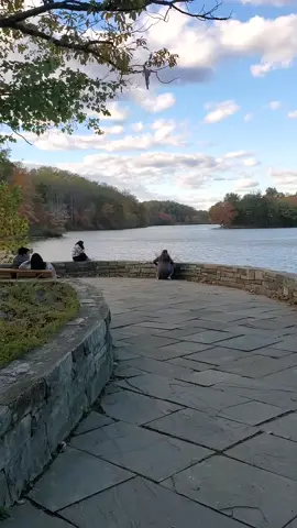 #LIVEIncentiveProgram #LIVEMonetization #PaidPartnership 