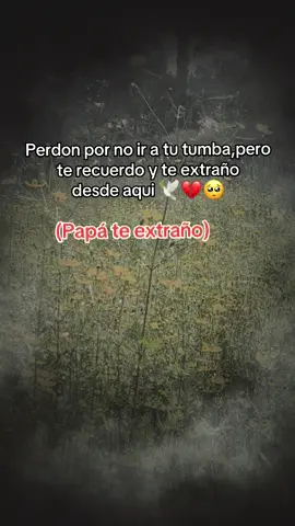 #papá #te #extraño #😭 #💔💔 
