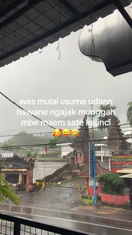 🤣🤣 #tretes #prigen #satekelinci #wenak 