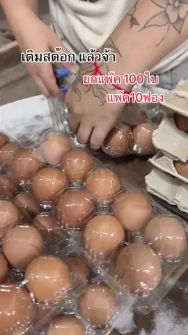 แผงไข่ราคาส่ง#แผงไข่ไก่ #แผงไข่พลาสติก #ราคาส่ง #ไข่ไก่ #ร้านขายของชําร้านเล็กๆ 