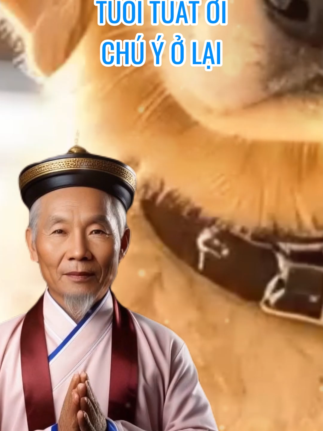 Con là tuất đúng không #tuvi #hongsuphu #phongthuy #tuoituat