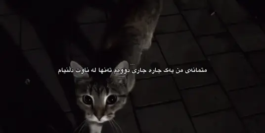 تەنها لە ناوت دڵنیام ! #foryou #foryoupage #fyp #d3355.a